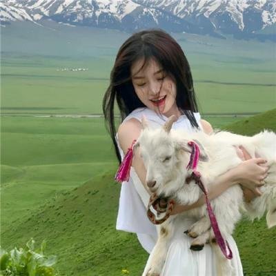 干支魂:猫客万来